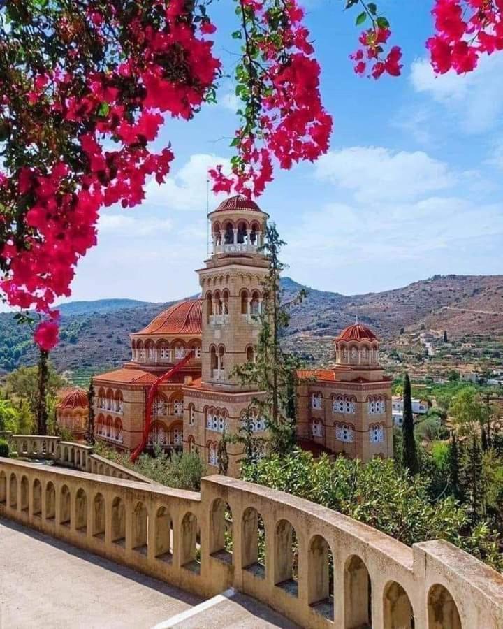 Svetlana & Michalis Oasis Hotel Agia Marina  Bagian luar foto