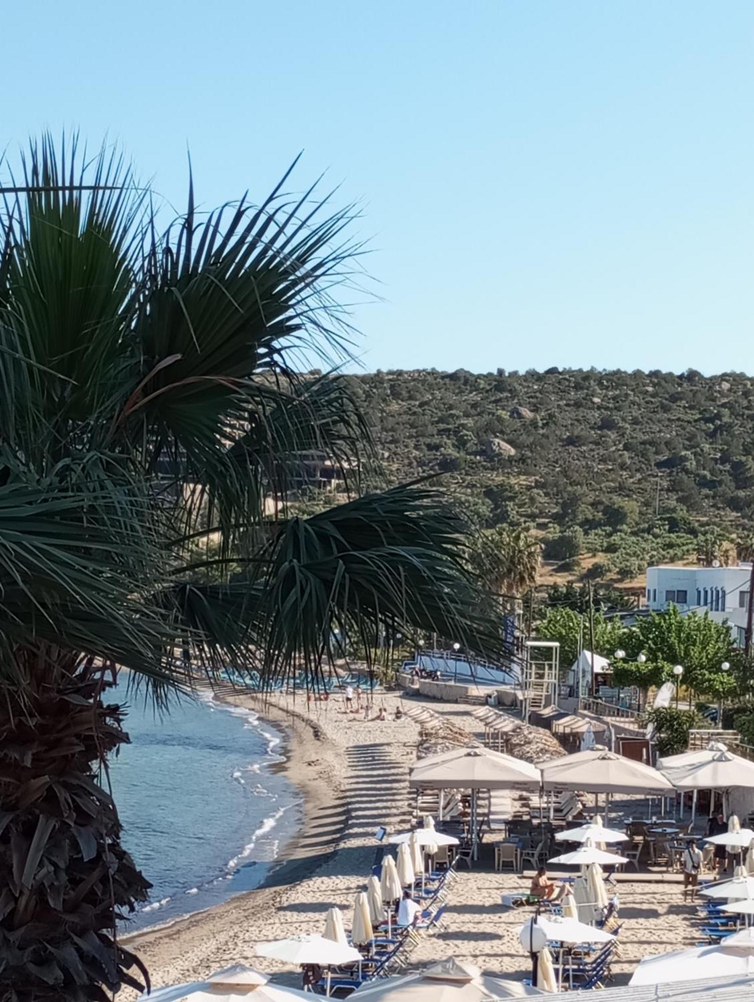Svetlana & Michalis Oasis Hotel Agia Marina  Bagian luar foto
